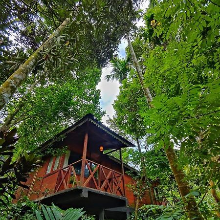 Wooden Cottages Glendale Wayanad Meppādi Exterior foto