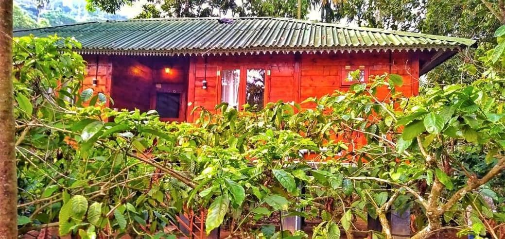 Wooden Cottages Glendale Wayanad Meppādi Exterior foto
