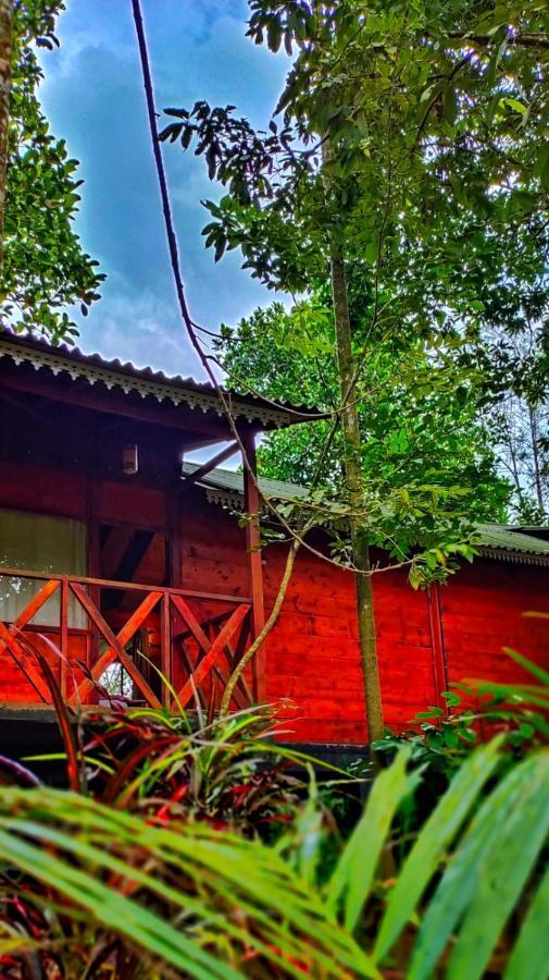 Wooden Cottages Glendale Wayanad Meppādi Exterior foto