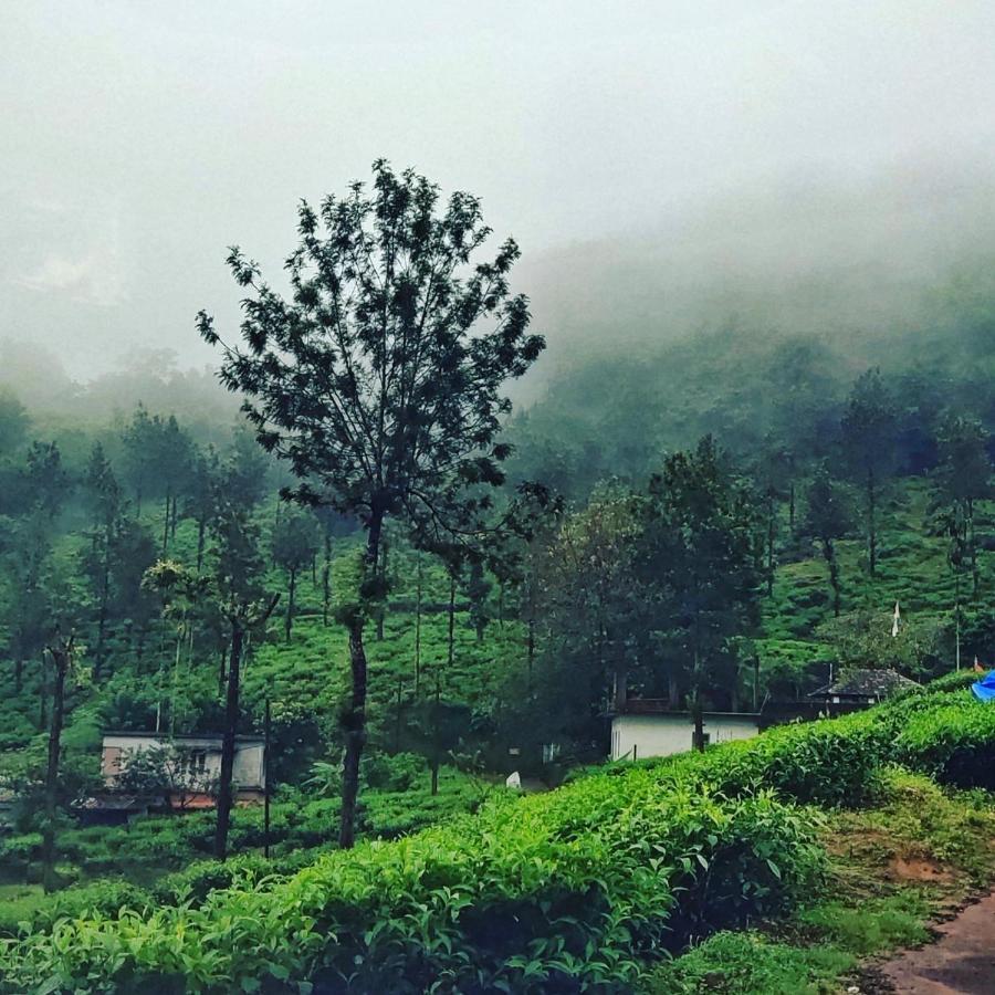 Wooden Cottages Glendale Wayanad Meppādi Exterior foto