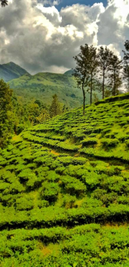 Wooden Cottages Glendale Wayanad Meppādi Exterior foto