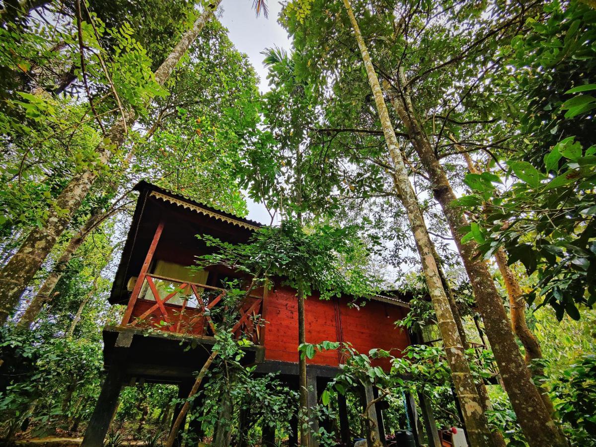 Wooden Cottages Glendale Wayanad Meppādi Exterior foto