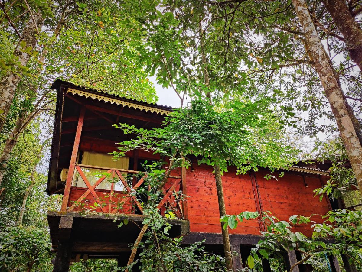 Wooden Cottages Glendale Wayanad Meppādi Exterior foto