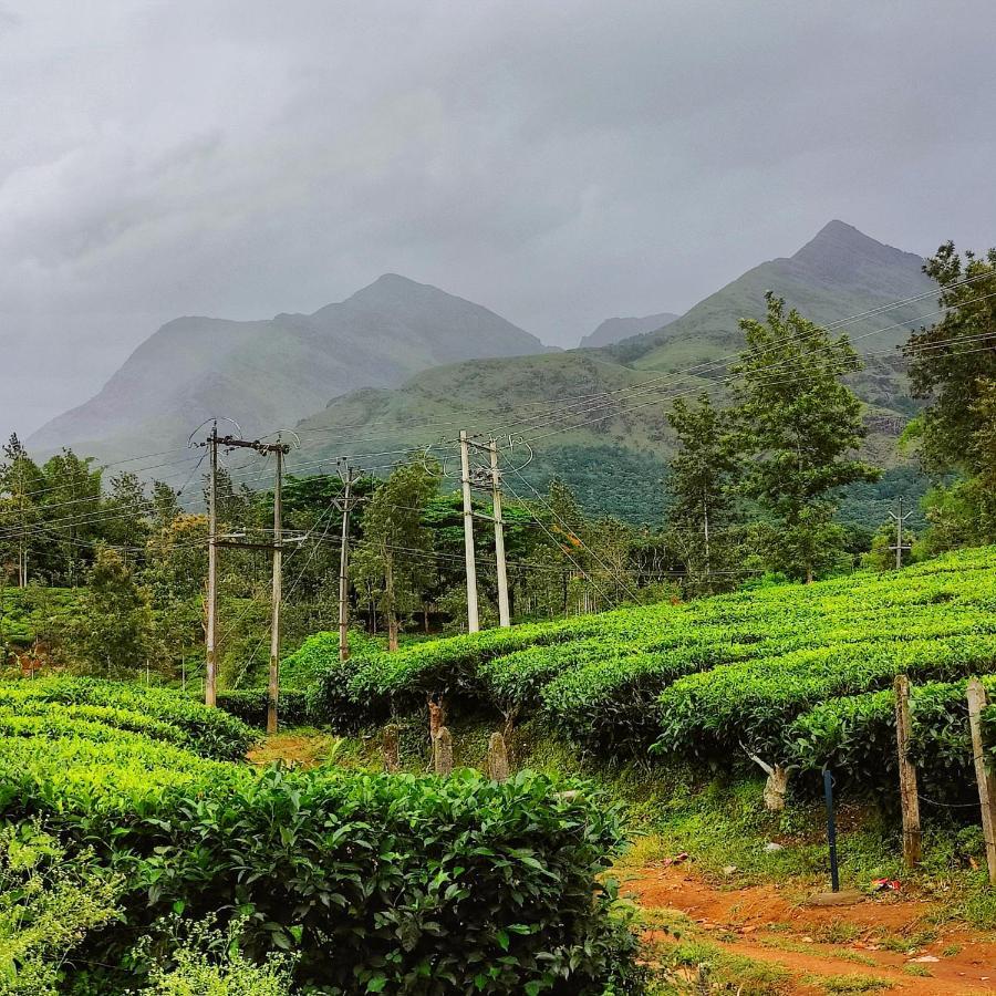 Wooden Cottages Glendale Wayanad Meppādi Exterior foto