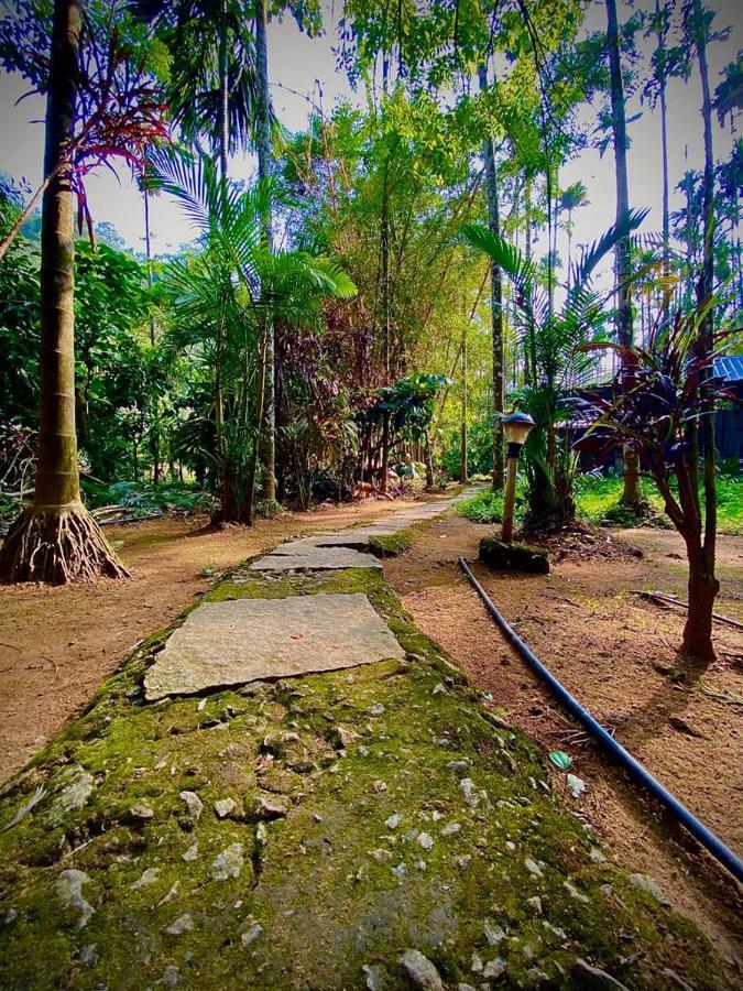 Wooden Cottages Glendale Wayanad Meppādi Exterior foto